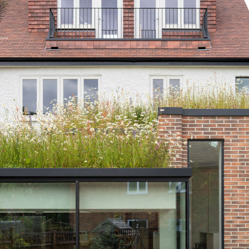 fraher findlay wildflower roof courtyard house1  