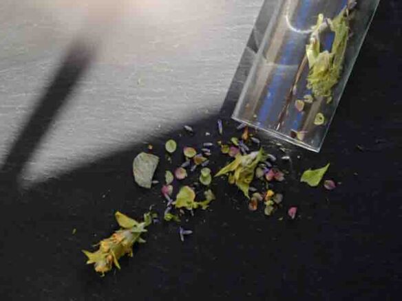 leaves and flowers pastoral love   1 584x438